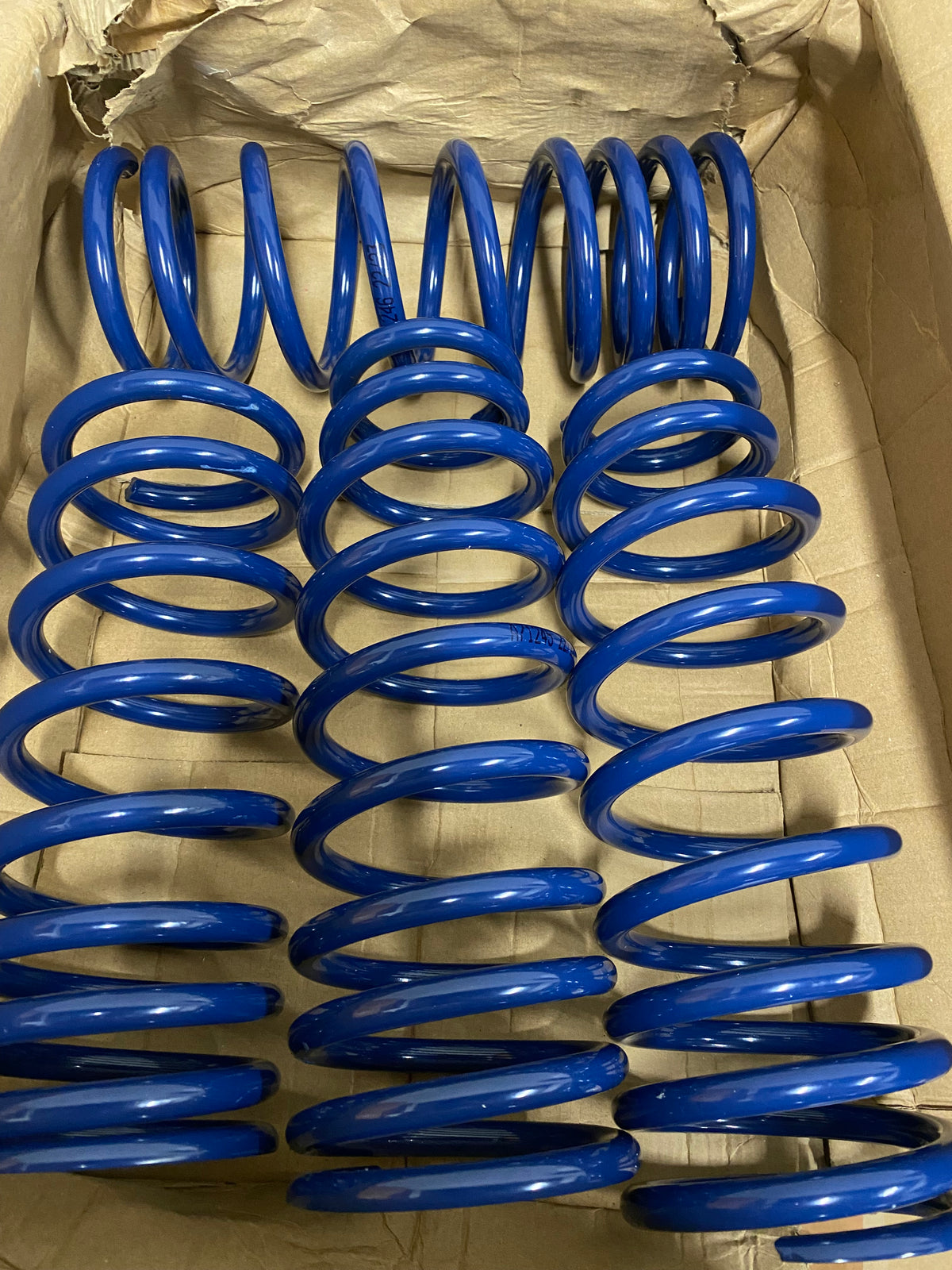 LEXUS IS200 55MM Carbon Culture Neo Lowering Springs